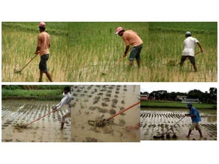 Jigs and Fixtures already used for development of Paddy Weeder
Jigs and Fixtures developed for development of Paddy Weeder...