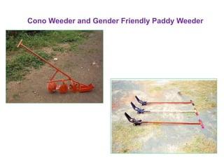 Large Scale Production of Gender Friendly Paddy Weeder
 