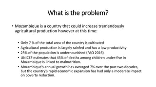 What is the problem?
• Mozambique is a country that could increase tremendously
agricultural production however at this time:
• Only 7 % of the total area of the country is cultivated
• Agricultural production is largely rainfed and has a low productivity
• 25% of the population is undernourished (FAO 2016)
• UNICEF estimates that 45% of deaths among children under-five in
Mozambique is linked to malnutrition.
• Mozambique’s annual growth has averaged 7% over the past two decades,
but the country’s rapid economic expansion has had only a moderate impact
on poverty reduction.
 