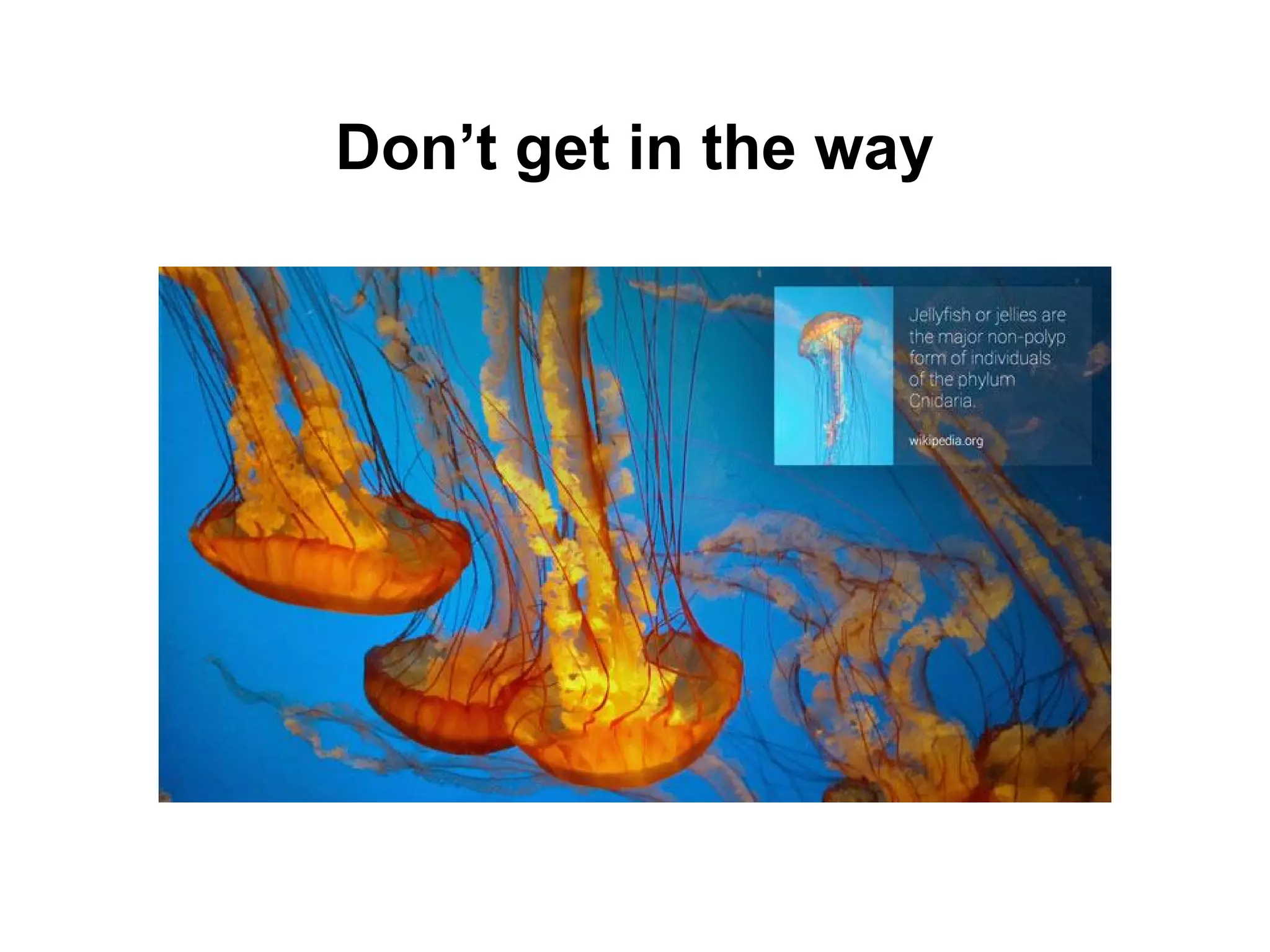 Don’t get in the way
 