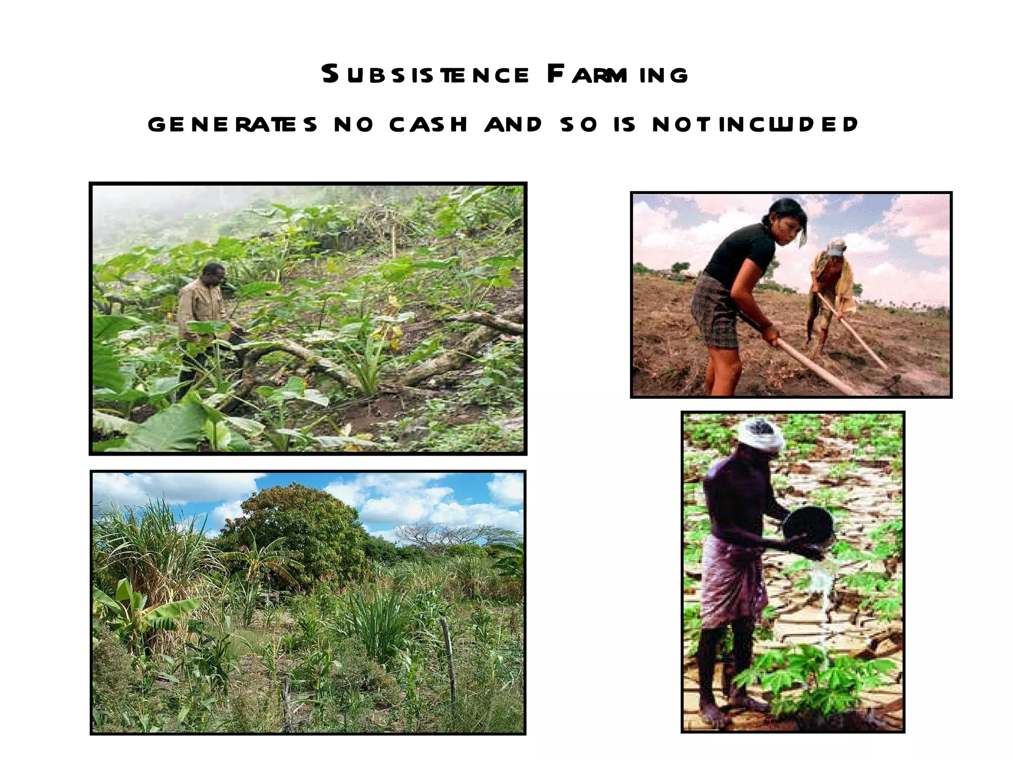 Subsistence Farming generates no cash and so is not included 