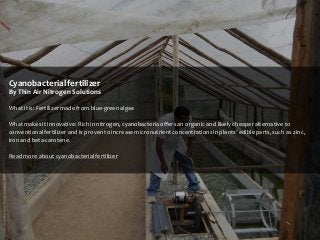 Cyanobacterial fertilizer
By Thin Air Nitrogen Solutions
What it is: Fertilizer made from blue-green algae
What makes it innovative: Rich in nitrogen, cyanobacteria offers an organic and likely cheaper alternative to
conventional fertilizer and is proven to increase micronutrient concentrations in plants’ edible parts, such as zinc,
iron and beta-carotene.
Read more about cyanobacterial fertilizer

 