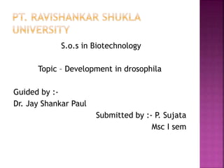 S.o.s in Biotechnology
Topic – Development in drosophila
Guided by :-
Dr. Jay Shankar Paul
Submitted by :- P. Sujata
Msc I sem
 