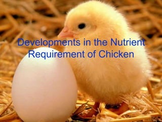 Developments in the Nutrient
Requirement of Chicken
 