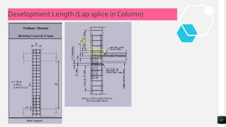 Development Length Plambing Development length | PPTX