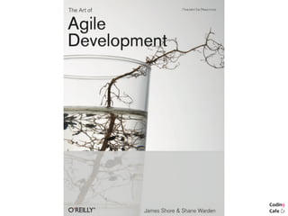 Agile Development Life Cycle