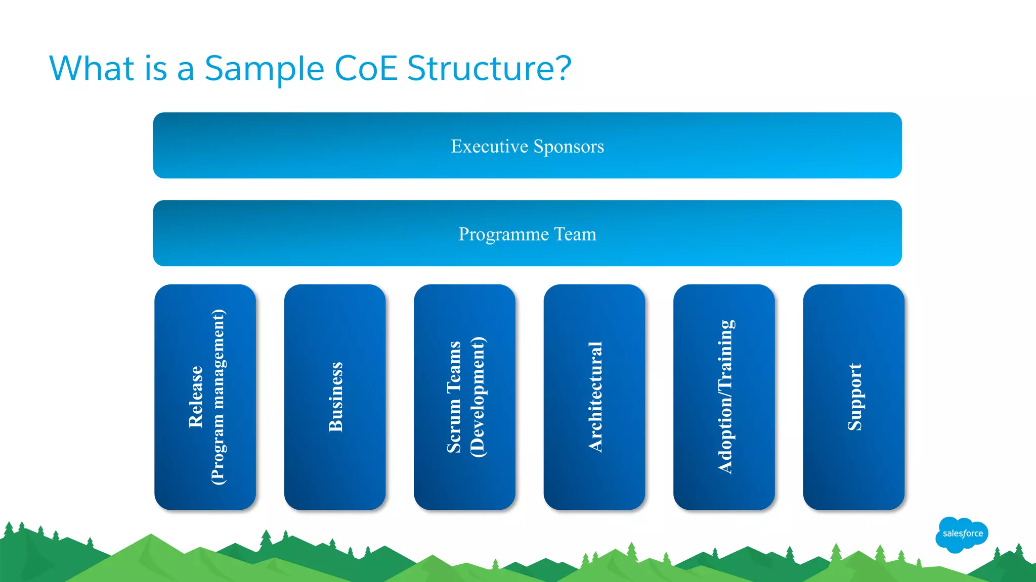 What is a Sample CoE Structure?
Executive Sponsors
Programme Team
Release
(Programmanagement)
Business
ScrumTeams
(Development)
Architectural
Adoption/Training
Support
 