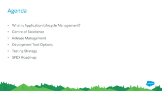 What is Application Lifecycle
Management?
 
