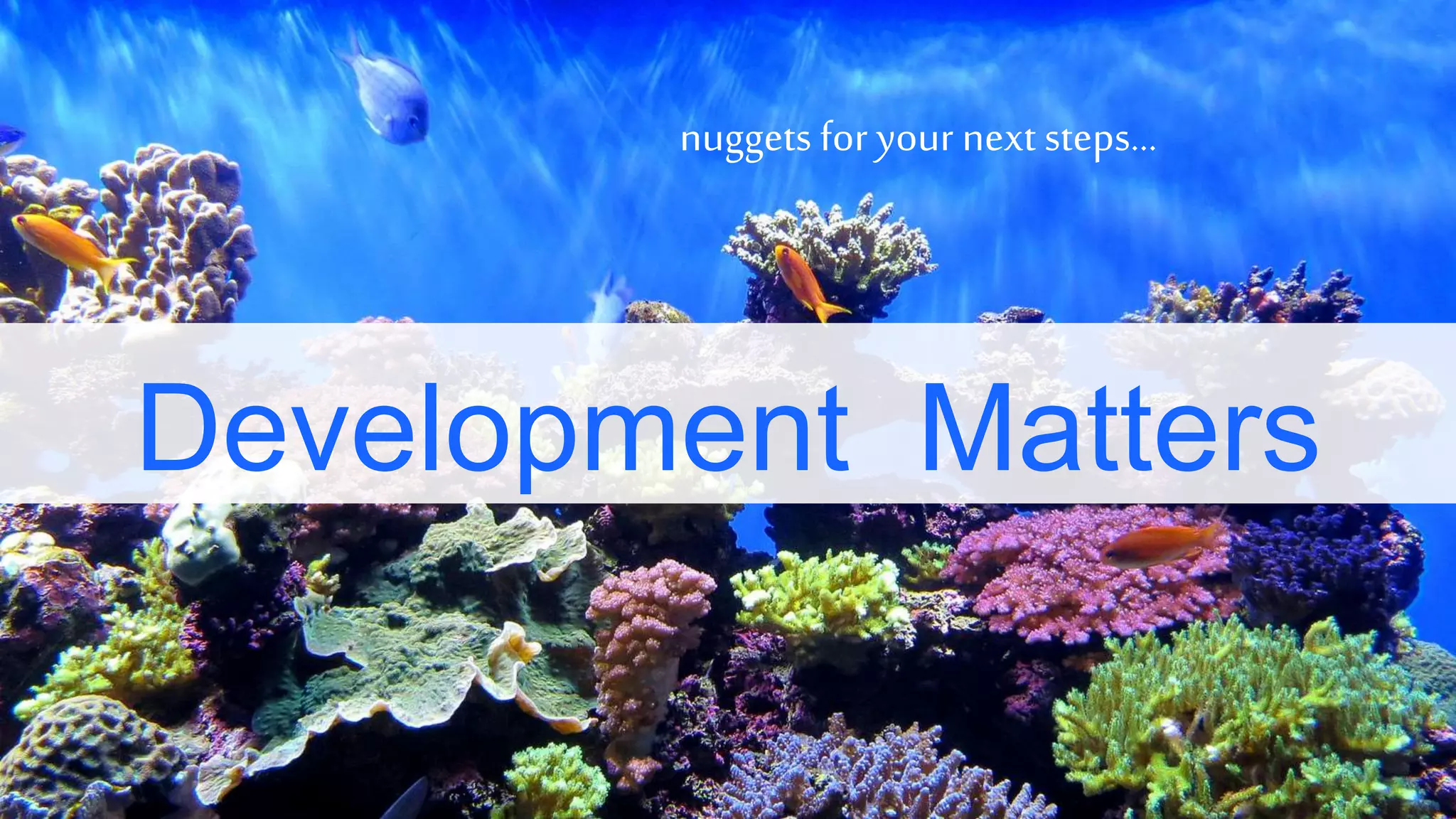 Development Matters
nuggets for your next steps…
 