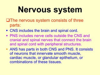 Nervous system
The nervous system consists of three
parts:
 CNS includes the brain and spinal cord.
 PNS includes nerve cells outside the CNS and
cranial and spinal nerves that connect the brain
and spinal cord with peripheral structures.
 ANS has parts in both CNS and PNS. It consists
of neurons that innervate smooth muscle,
cardiac muscle, or glandular epithelium, or
combinations of these tissues.
 