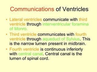 Communications of Ventricles
• Lateral ventricles communicate with third
ventricle through interventricular foramina
of Monro.
• Third ventricle communicates with fourth
ventricle through aqueduct of Sylvius. This
is the narrow lumen present in midbrain.
• Fourth ventricle is continuous inferiorly
with central canal. Central canal is the
lumen of spinal cord.
 