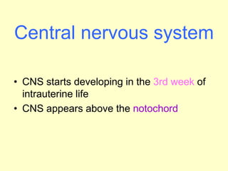 Central nervous system
• CNS starts developing in the 3rd week of
intrauterine life
• CNS appears above the notochord
 