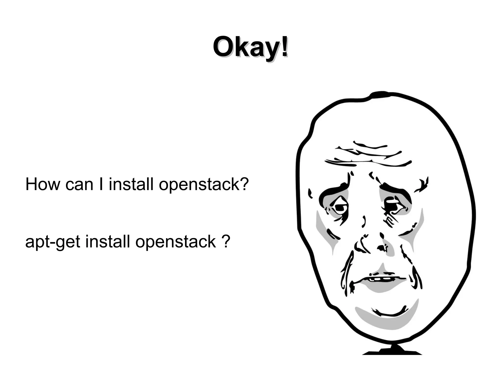 OOkkaayy!! 
How can I install openstack? 
apt-get install openstack ? 
 