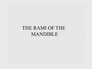 THE RAMI OF THE
MANDIBLE
 
