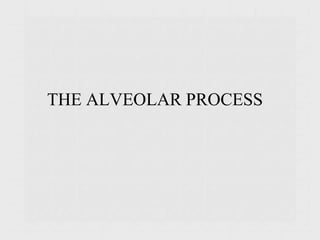 THE ALVEOLAR PROCESS
 