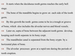  It starts when the deciduous tooth germs reaches the early bell
stage.
 The bone of the mandible begins to grow on each side of the tooth
germ.
 By this growth the tooth germs come to be in a trough or groove
of bone, which also includes the alveolar nerves and blood vessels.
 Later on, septa of bone between the adjacent tooth germs develop,
keeping each tooth separate in its bony crept.
 The mandibular canal is separated from the bony crypts by a
horizontal plate of bone.
 The alveolar processes grow at a rapid rate during the periods of
tooth eruption.
 