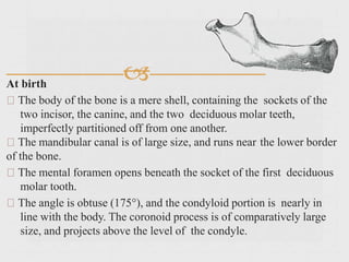 At birth
The body of the bone is a mere shell, containing the sockets of the
two incisor, the canine, and the two deciduous molar teeth,
imperfectly partitioned off from one another.
The mandibular canal is of large size, and runs near the lower border
of the bone.
The mental foramen opens beneath the socket of the first deciduous
molar tooth.
The angle is obtuse (175°), and the condyloid portion is nearly in
line with the body. The coronoid process is of comparatively large
size, and projects above the level of the condyle.
 