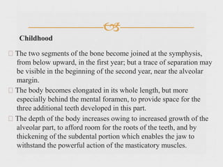 
Childhood
The two segments of the bone become joined at the symphysis,
from below upward, in the first year; but a trace of separation may
be visible in the beginning of the second year, near the alveolar
margin.
The body becomes elongated in its whole length, but more
especially behind the mental foramen, to provide space for the
three additional teeth developed in this part.
The depth of the body increases owing to increased growth of the
alveolar part, to afford room for the roots of the teeth, and by
thickening of the subdental portion which enables the jaw to
withstand the powerful action of the masticatory muscles.
 