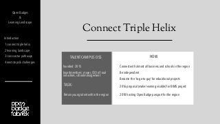 Connect Triple Helix
Introduction
1 connect triple helix
2 learning landscape
3 cross sector pathways
4 next steps & chall...