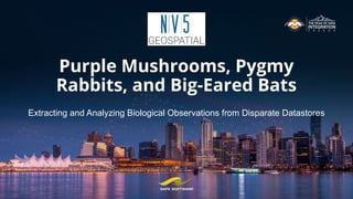 Purple Mushrooms, Pygmy
Rabbits, and Big-Eared Bats
Extracting and Analyzing Biological Observations from Disparate Datastores
 