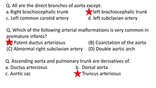 Q. All are the direct branches of aorta except.
a.Right brachiocephalic trunk b. left brachiocephalic trunk
c. Left common carotid artery d. left subclavian artery
Q. Which of the following arterial malformations is very common in
premature infants?
(A) Patent ductus arteriosus (B) Coarctation of the aorta
(C) Abnormal right subclavian artery (D) Double aortic arch
Q. Ascending aorta and pulmonary trunk are derivatives of.
a. Ductus arteriosus b. Dorsal aorta
c. Aortic sac d. Truncus arteriosus
 