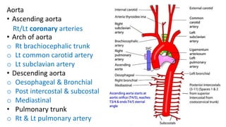 Aorta
• Ascending aorta
• Arch of aorta
o Rt brachiocephalic trunk
o Lt common carotid artery
o Lt subclavian artery
• Descending aorta
o Oesophageal & Bronchial
o Post intercostal & subcostal
o Mediastinal
• Pulmonary trunk
o Rt & Lt pulmonary artery
Rt/Lt coronary arteries
 