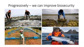 Development of a Progressive Management Pathway to assist National and ...