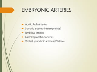 EMBRYONIC ARTERIES
 Aortic Arch Arteries
 Somatic arteries (Intersegmental)
 Umbilical arteries
 Lateral splanchnic arteries
 Ventral splanchnic arteries (Vitelline)
 