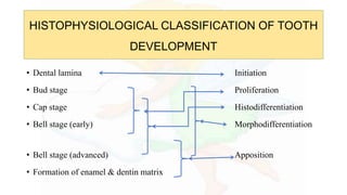 HISTOPHYSIOLOGICAL CLASSIFICATION OF TOOTH
DEVELOPMENT
• Dental lamina Initiation
• Bud stage Proliferation
• Cap stage Histodifferentiation
• Bell stage (early) Morphodifferentiation
• Bell stage (advanced) Apposition
• Formation of enamel & dentin matrix
 