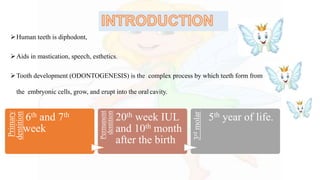 Human teeth is diphodont,
Aids in mastication, speech, esthetics.
Tooth development (ODONTOGENESIS) is the complex process by which teeth form from
the embryonic cells, grow, and erupt into the oral cavity.
Primary
dentition
6th and 7th
week
Permanent
dentition
20th week IUL
and 10th month
after the birth
3rdmolar
5th year of life.
 