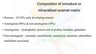 Composition of immature or
mineralized enamel matrix
• Proteins – 25-30% early developing enamel.
• Amelogenin (90%) & non-amelogenin (10%)
• Amelogenins – hydrophobic, protein rich in proline, histidine, glutamine.
• Non-amelogenin – enamelin, ameloblastin, enamelysin, amelotin, odontoblast
ameloblast associated.
 