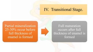 IV. Transitional Stage.
Partial mineralization
25-30% occur before
full thickness of
enamel is formed
Full maturation
occurs after full
thickness of enamel is
formed
 