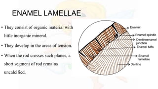 ENAMEL LAMELLAE
• They consist of organic material with
little inorganic mineral.
• They develop in the areas of tension.
• When the rod crosses such planes, a
short segment of rod remains
uncalcified.
 