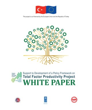Support to Development of a Policy Framework on
Total Factor Productivity Project
WHITE PAPER
 