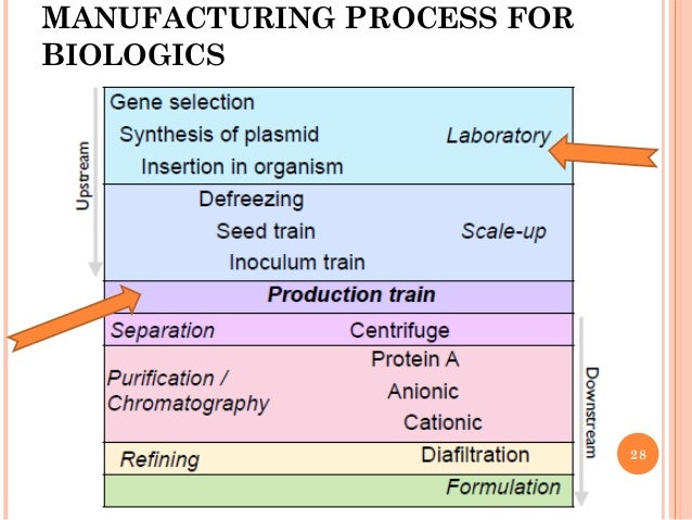 biologics manufacturing