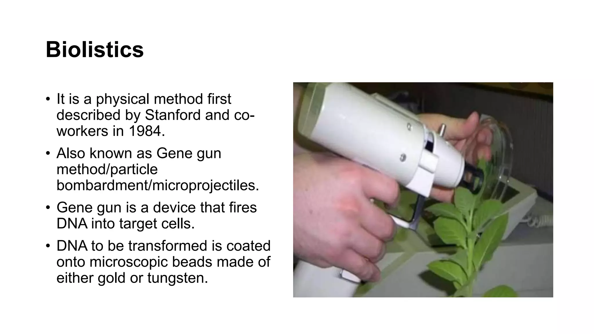 Biolistics
• It is a physical method first
described by Stanford and co-
workers in 1984.
• Also known as Gene gun
method/particle
bombardment/microprojectiles.
• Gene gun is a device that fires
DNA into target cells.
• DNA to be transformed is coated
onto microscopic beads made of
either gold or tungsten.
 