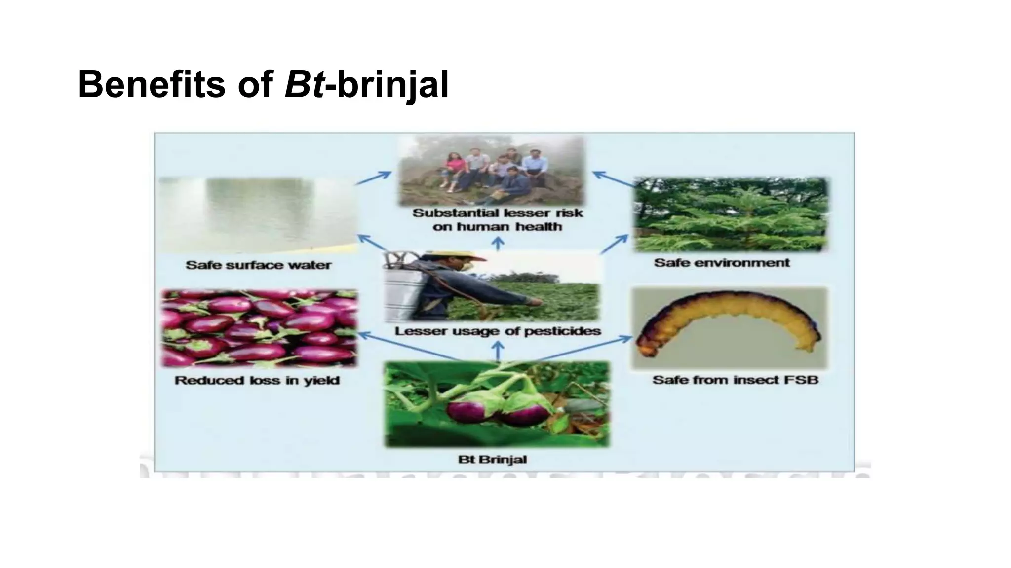 Benefits of Bt-brinjal
 