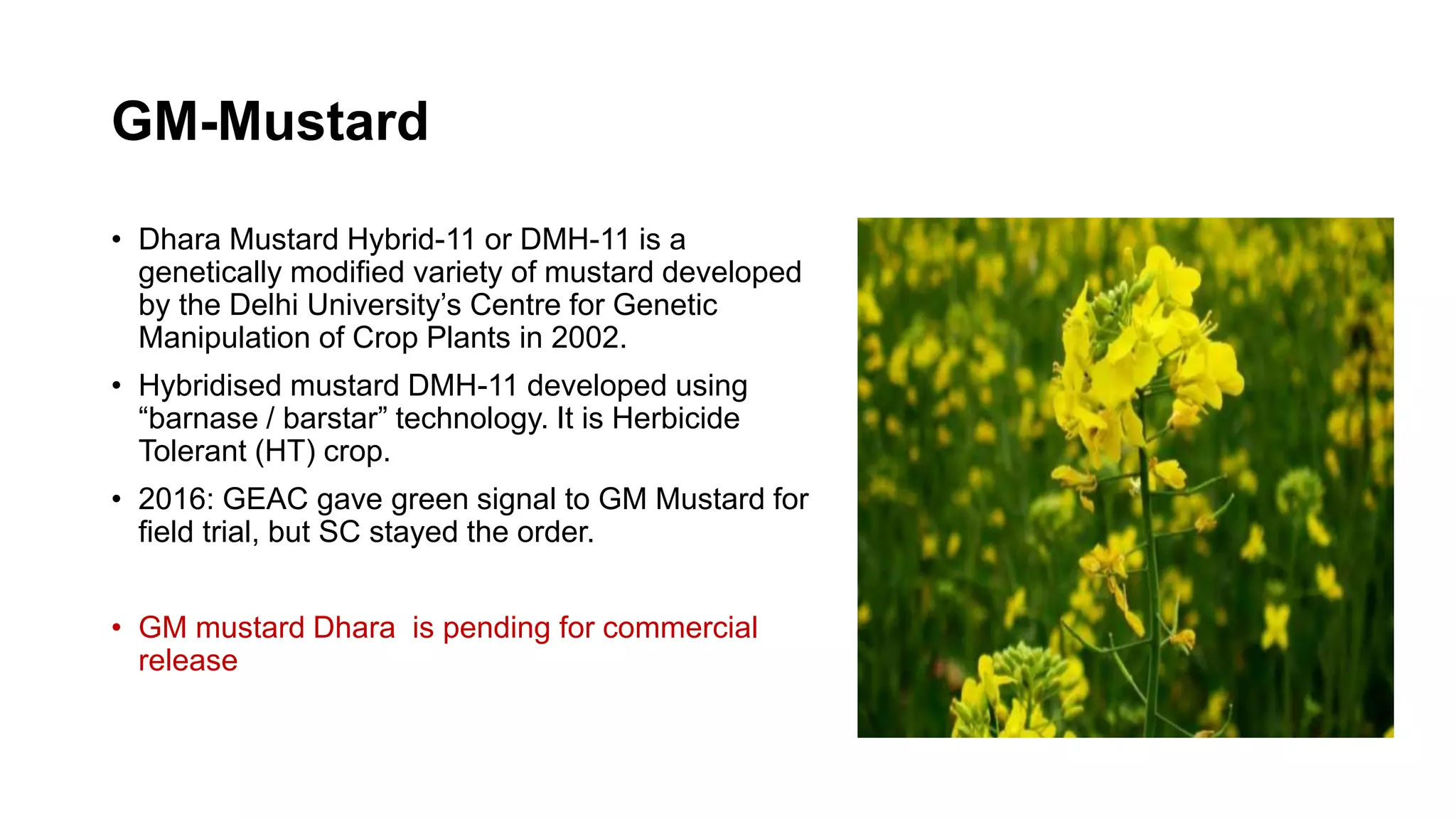GM-Mustard
• Dhara Mustard Hybrid-11 or DMH-11 is a
genetically modified variety of mustard developed
by the Delhi University’s Centre for Genetic
Manipulation of Crop Plants in 2002.
• Hybridised mustard DMH-11 developed using
“barnase / barstar” technology. It is Herbicide
Tolerant (HT) crop.
• 2016: GEAC gave green signal to GM Mustard for
field trial, but SC stayed the order.
• GM mustard Dhara is pending for commercial
release
 