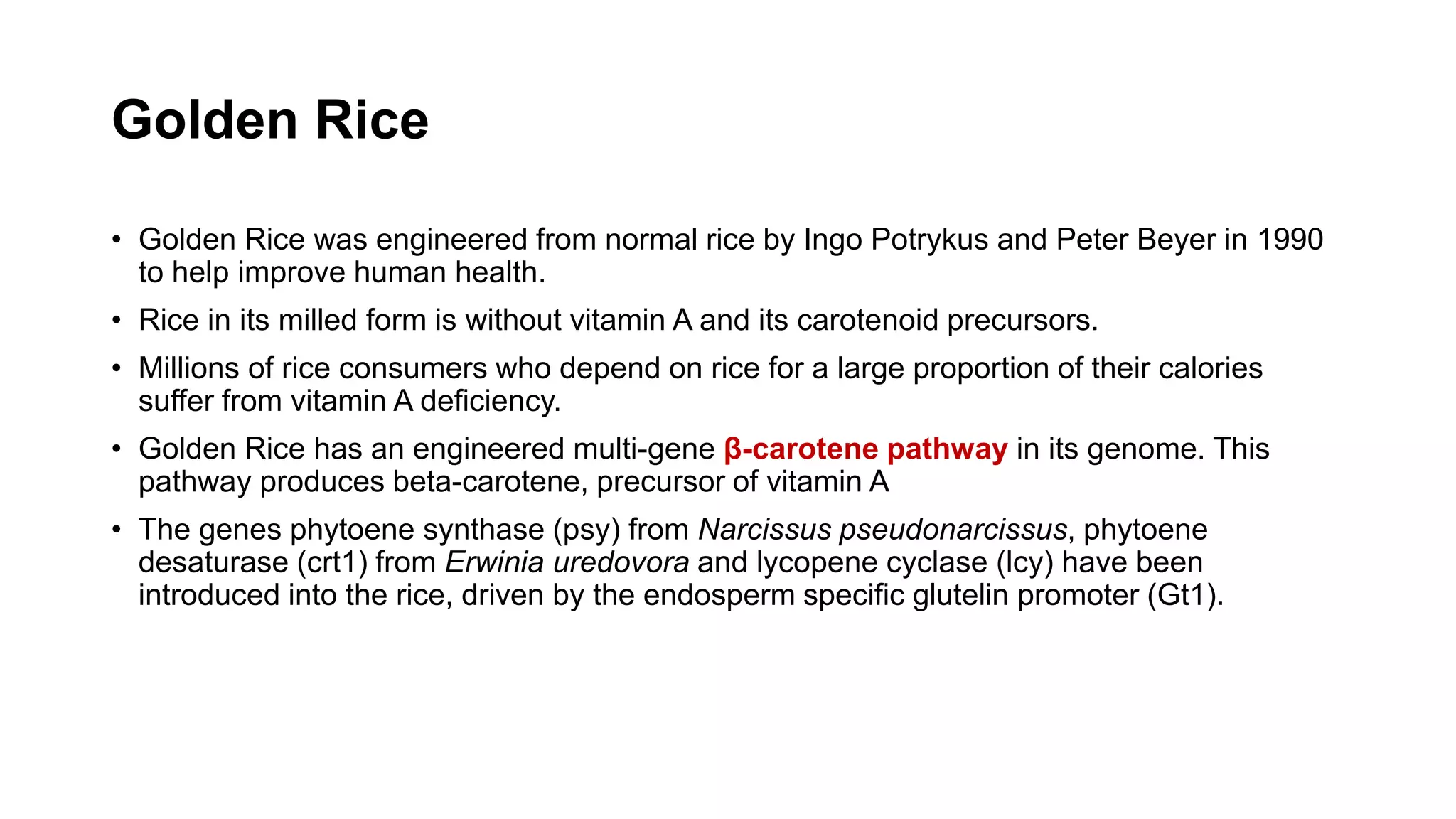 Golden Rice
• Golden Rice was engineered from normal rice by Ingo Potrykus and Peter Beyer in 1990
to help improve human health.
• Rice in its milled form is without vitamin A and its carotenoid precursors.
• Millions of rice consumers who depend on rice for a large proportion of their calories
suffer from vitamin A deficiency.
• Golden Rice has an engineered multi-gene β-carotene pathway in its genome. This
pathway produces beta-carotene, precursor of vitamin A
• The genes phytoene synthase (psy) from Narcissus pseudonarcissus, phytoene
desaturase (crt1) from Erwinia uredovora and lycopene cyclase (lcy) have been
introduced into the rice, driven by the endosperm specific glutelin promoter (Gt1).
 