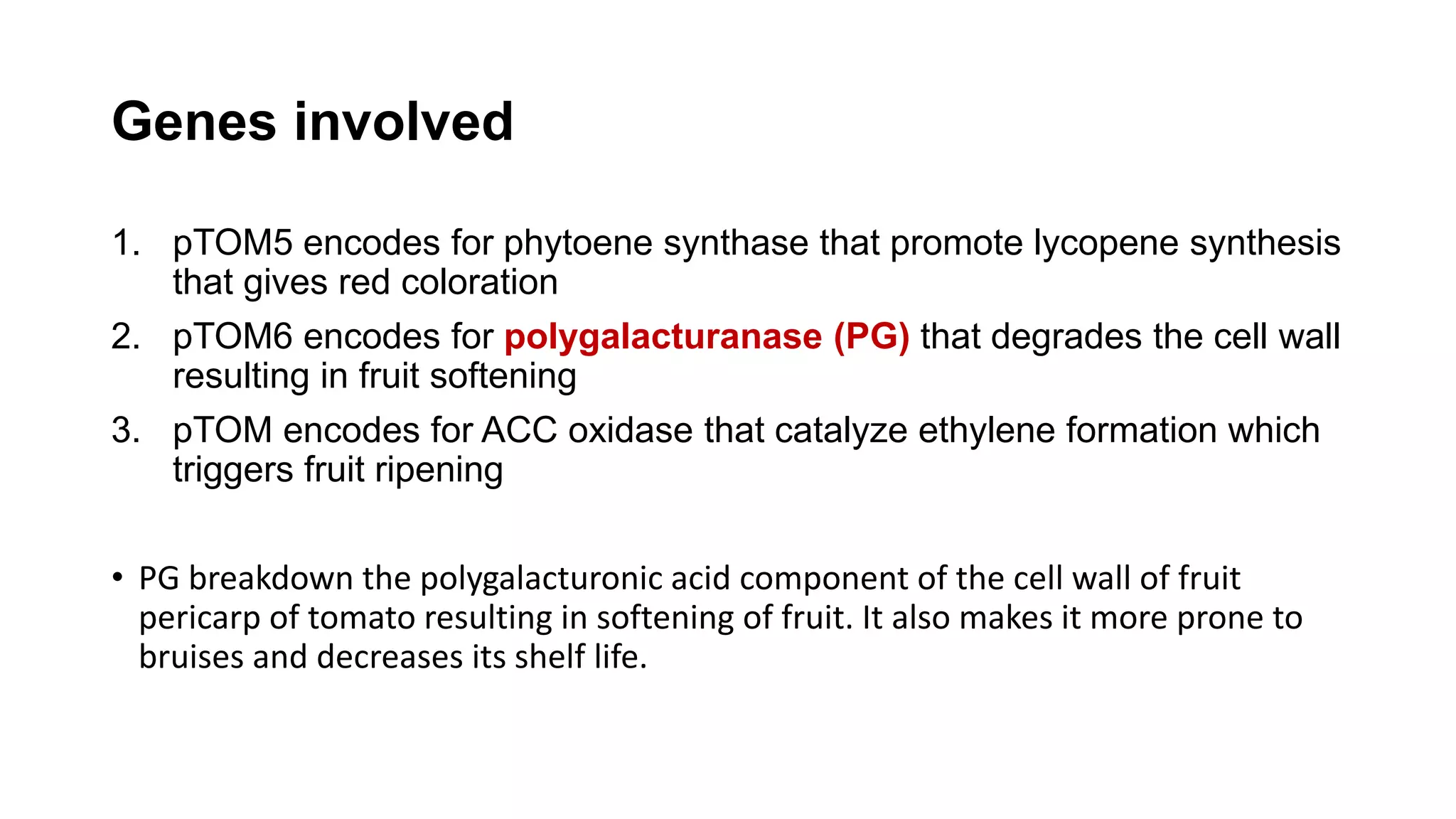 Genes involved
1. pTOM5 encodes for phytoene synthase that promote lycopene synthesis
that gives red coloration
2. pTOM6 encodes for polygalacturanase (PG) that degrades the cell wall
resulting in fruit softening
3. pTOM encodes for ACC oxidase that catalyze ethylene formation which
triggers fruit ripening
• PG breakdown the polygalacturonic acid component of the cell wall of fruit
pericarp of tomato resulting in softening of fruit. It also makes it more prone to
bruises and decreases its shelf life.
 