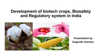 Development of biotech crops, Biosafety
and Regulatory system in India
Presentation by
Sugandh chauhan
 