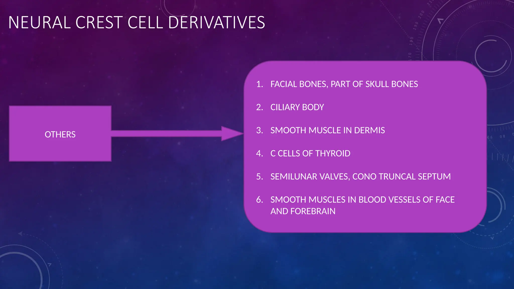 NEURAL CREST CELL DERIVATIVES
OTHERS
1. FACIAL BONES, PART OF SKULL BONES
2. CILIARY BODY
3. SMOOTH MUSCLE IN DERMIS
4. C CELLS OF THYROID
5. SEMILUNAR VALVES, CONO TRUNCAL SEPTUM
6. SMOOTH MUSCLES IN BLOOD VESSELS OF FACE
AND FOREBRAIN
 