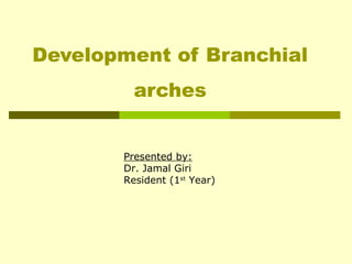 Presented by:
Dr. Jamal Giri
Resident (1st
Year)
Development of Branchial
arches
 