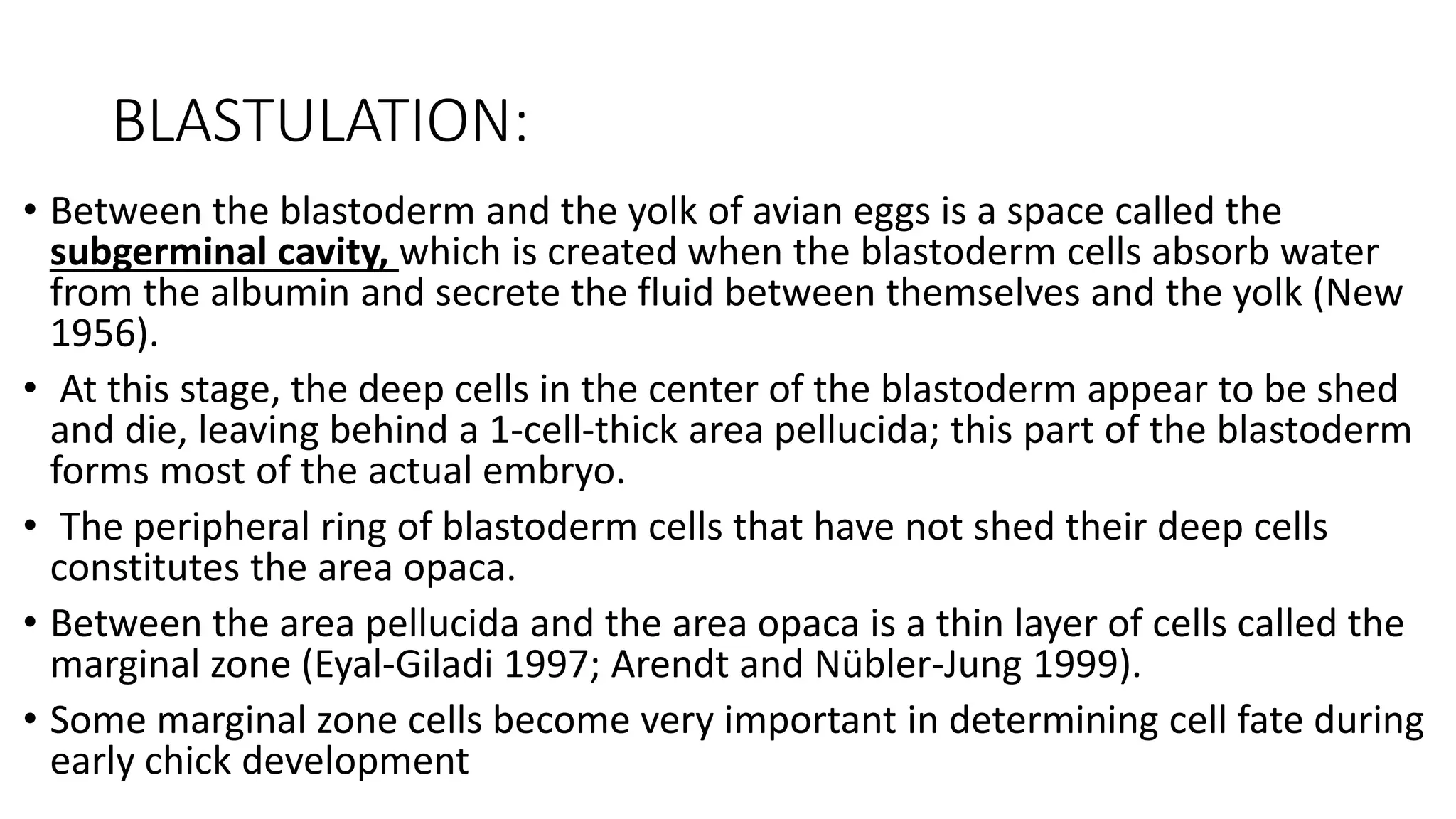BLASTULATION:
• Between the blastoderm and the yolk of avian eggs is a space called the
subgerminal cavity, which is created when the blastoderm cells absorb water
from the albumin and secrete the fluid between themselves and the yolk (New
1956).
• At this stage, the deep cells in the center of the blastoderm appear to be shed
and die, leaving behind a 1-cell-thick area pellucida; this part of the blastoderm
forms most of the actual embryo.
• The peripheral ring of blastoderm cells that have not shed their deep cells
constitutes the area opaca.
• Between the area pellucida and the area opaca is a thin layer of cells called the
marginal zone (Eyal-Giladi 1997; Arendt and Nübler-Jung 1999).
• Some marginal zone cells become very important in determining cell fate during
early chick development
 