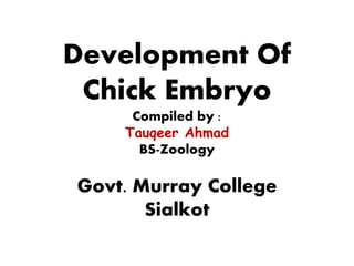 Development Of
Chick Embryo
Compiled by :
Tauqeer Ahmad
BS-Zoology
Govt. Murray College
Sialkot
 