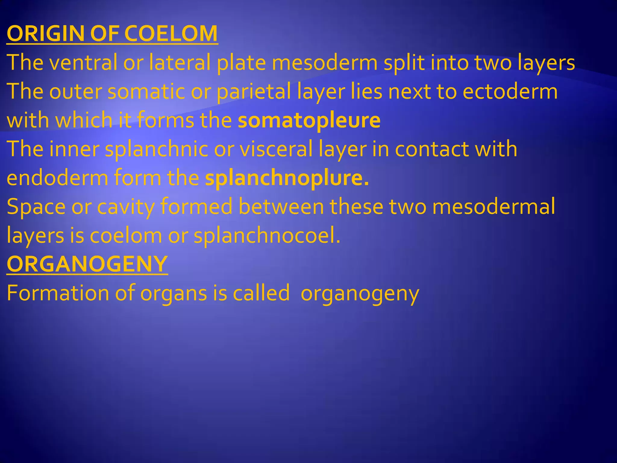 ORIGIN OF COELOM
The ventral or lateral plate mesoderm split into two layers
The outer somatic or parietal layer lies next to ectoderm
with which it forms the somatopleure
The inner splanchnic or visceral layer in contact with
endoderm form the splanchnoplure.
Space or cavity formed between these two mesodermal
layers is coelom or splanchnocoel.
ORGANOGENY
Formation of organs is called organogeny
 