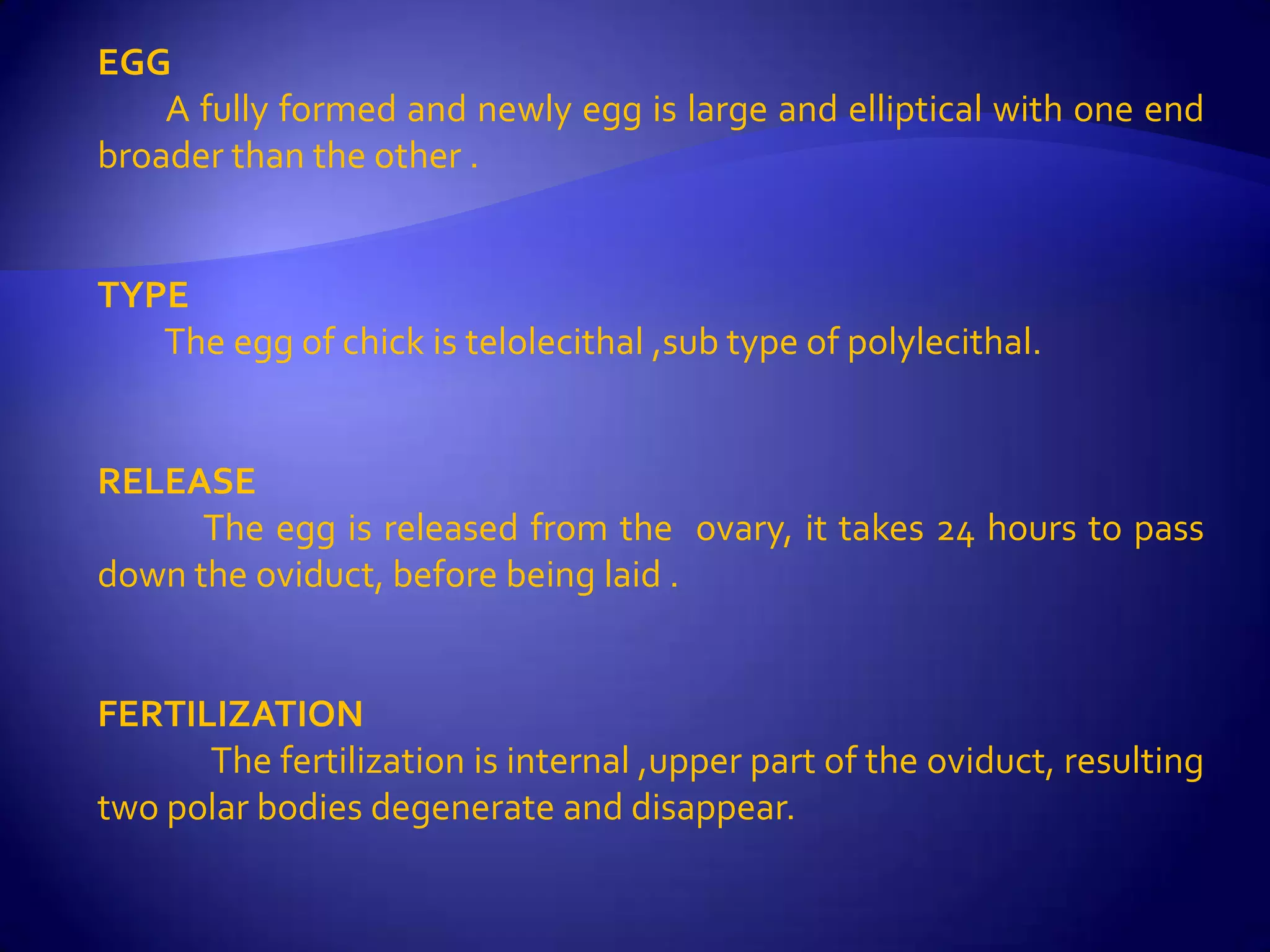 EGG
    A fully formed and newly egg is large and elliptical with one end
broader than the other .


TYPE
   The egg of chick is telolecithal ,sub type of polylecithal.


RELEASE
      The egg is released from the ovary, it takes 24 hours to pass
down the oviduct, before being laid .


FERTILIZATION
      The fertilization is internal ,upper part of the oviduct, resulting
two polar bodies degenerate and disappear.
 