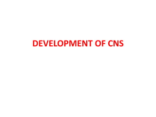 DEVELOPMENT OF CNS
 