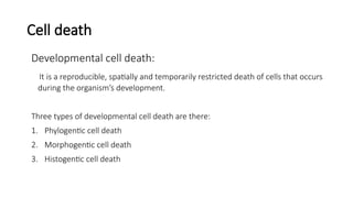 Cell death
Developmental cell death:
It is a reproducible, spatially and temporarily restricted death of cells that occurs
during the organism’s development.
Three types of developmental cell death are there:
1. Phylogentic cell death
2. Morphogentic cell death
3. Histogentic cell death
 
