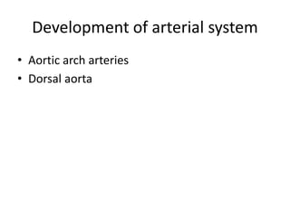 Development of arterial system
• Aortic arch arteries
• Dorsal aorta
 